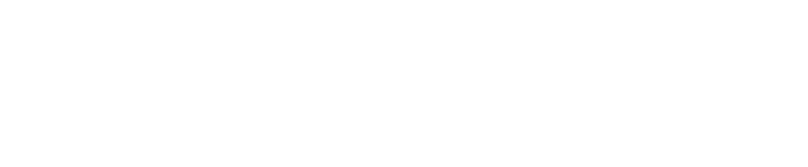한국딥러닝 kt